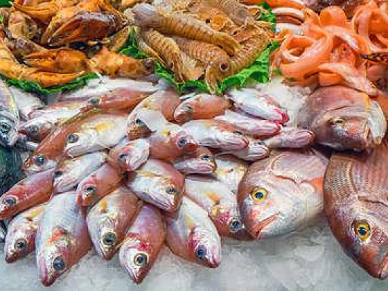 Abdulhamid Mohammed Fish Stall