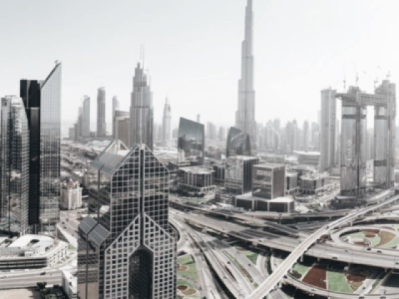 Aesg Project Development Consultant
