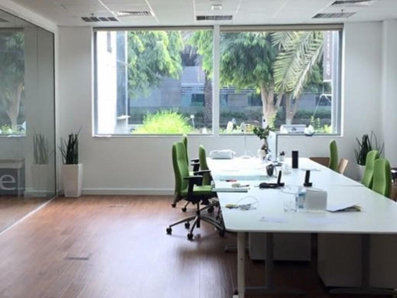 Verve Interior Decoration