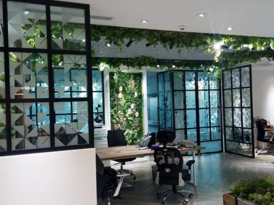 Multi Vision Interior Decoration