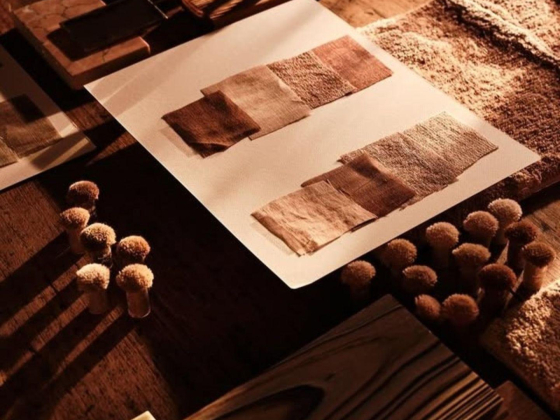 The Rug Company