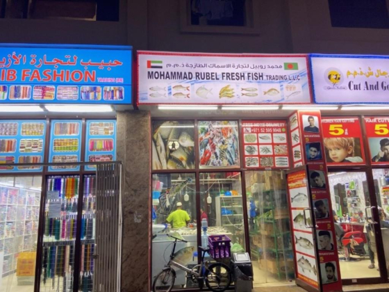 Mohammad Rubel Fresh Fish Trading