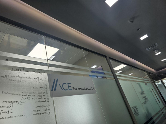 Ace Tax Consultants L.l.c