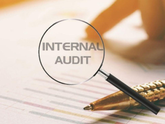 A C S Majdi Auditing Of Accounts