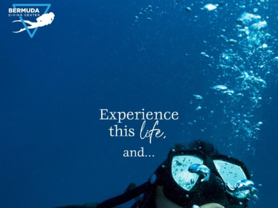 Bermuda Diving Center