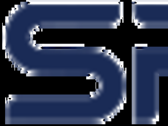 Msp Associates Project Management Services