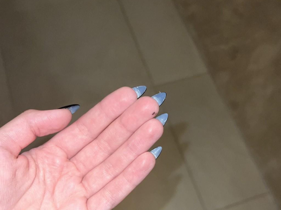 Raf Beauty Lounge
