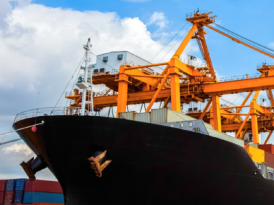 Technology Venture Middle East Marine Services