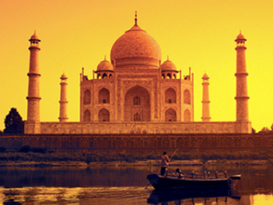 Fly In Travel And Tourism