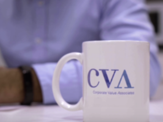 Corporate Value Associates Consulting