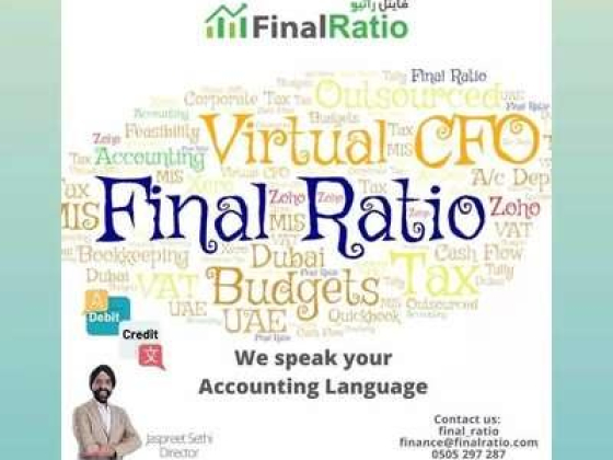 Final Ratio Consulting L.l.c