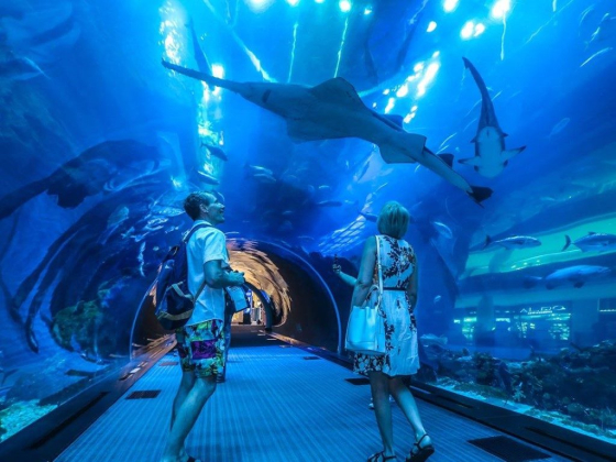 Dubai Aquarium & Underwater Zoo