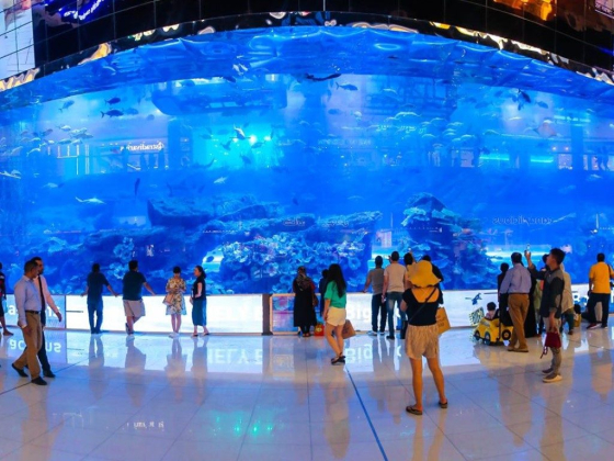 Dubai Aquarium & Underwater Zoo