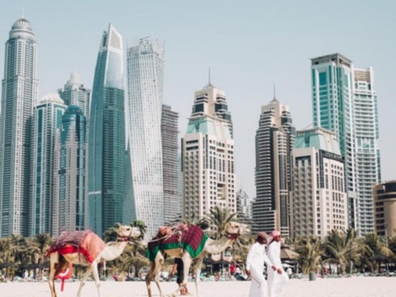 Trust Travel And Tourism