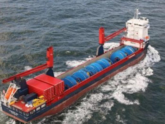 Baggio International Shipping