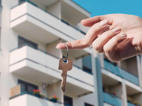 Escape 24 Vacation Homes Rental