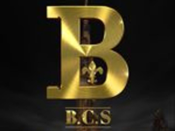 B C S Rent A Car