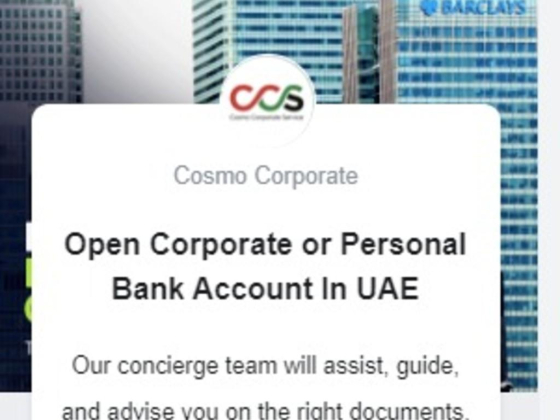 Cosmo Pro Corporate Service