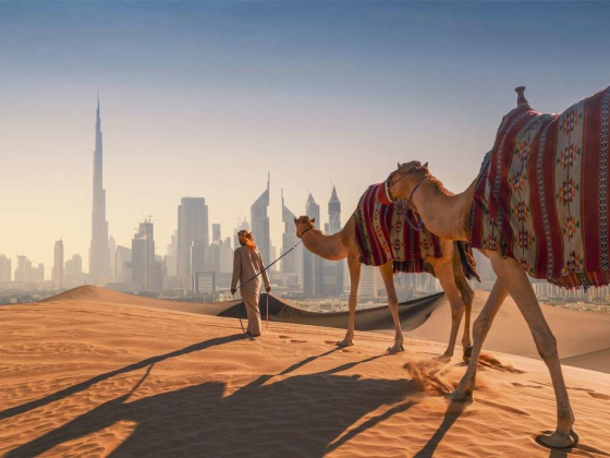 Damaar Properties