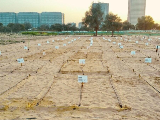 Desert Control