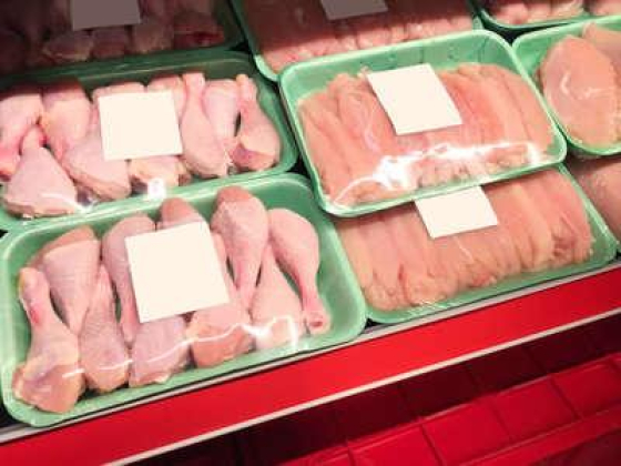 Friendly Frozen Food Trading
