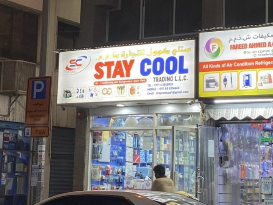 Stay Cool Trading