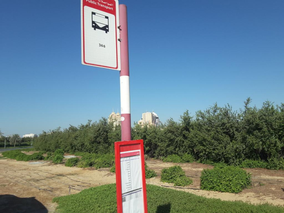 Dubai Men"s College 1 1- Bus Stop