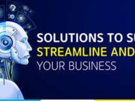 Gemini Consulting & Services
