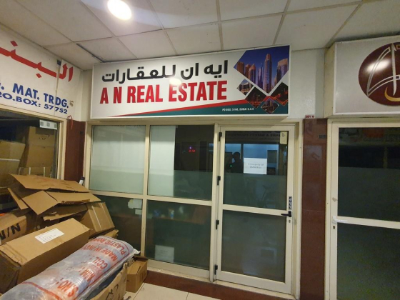 A N Real Estate