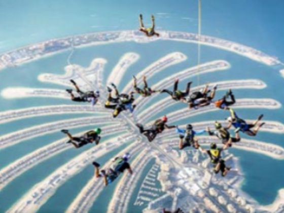 My Uae Tours ​agency