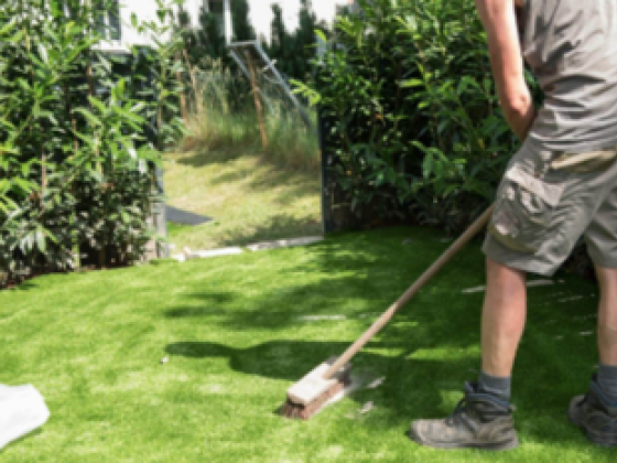 Lush Green Trading