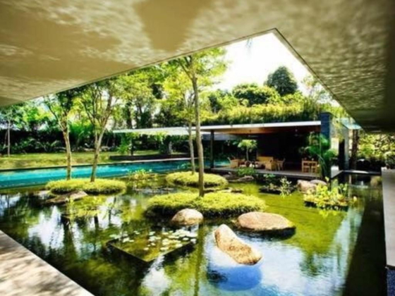 Zen Qua Aquarium Trading