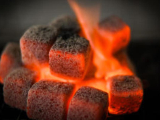 Newgen Coal Trading