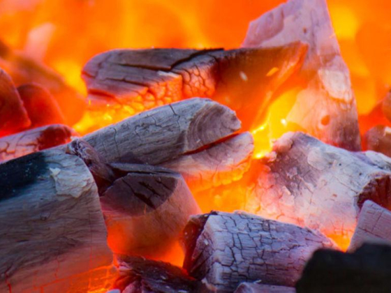 Newgen Coal Trading
