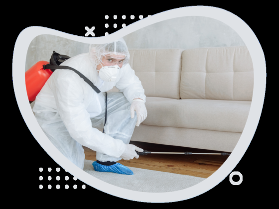 Al Maroof Pest Control
