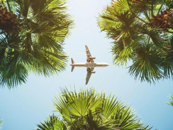 Star Global Sky Travel & Tourism