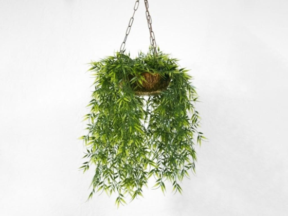 Natural Flowers Trading