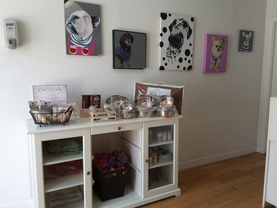 Dogwalk Pets Nursery