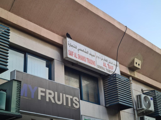 Saif Al Shamsi Trading