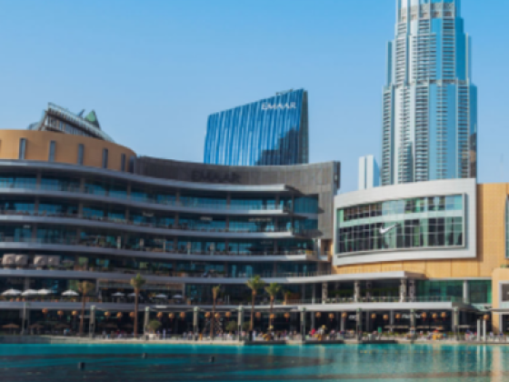 Ell Properties
