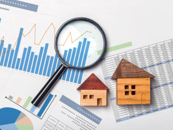 Tamleek Plus Properties