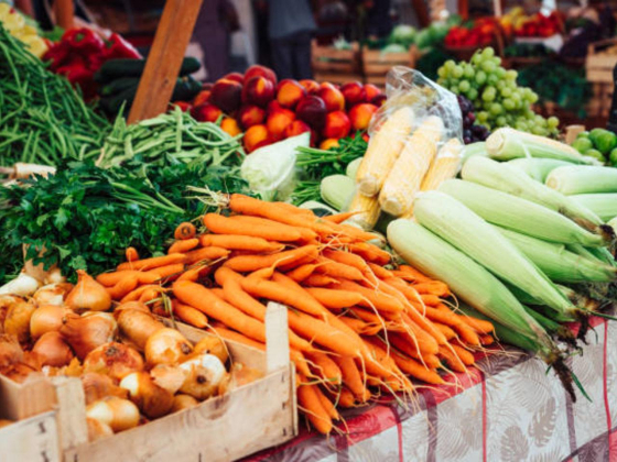 Themar Taibah Foodstuff Trading
