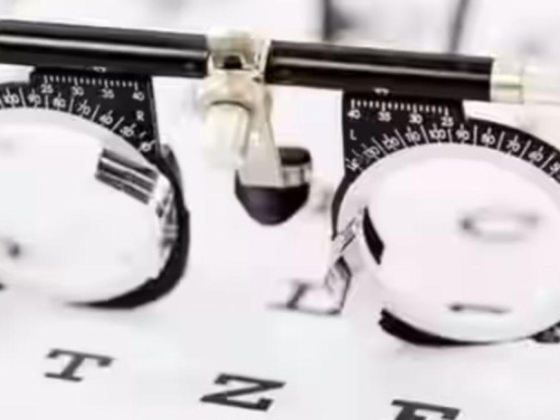 Stylo Opticals
