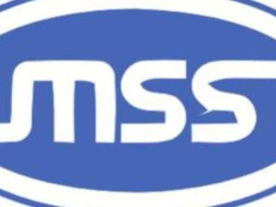 Mostafawi Security Systems