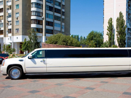 Entire World Tourism