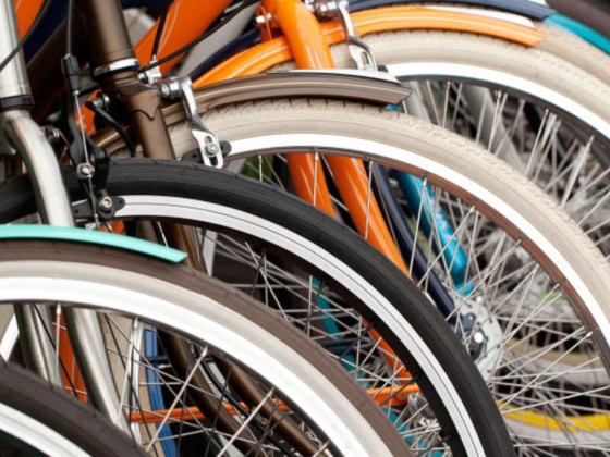 Alasala Bicycles Trading