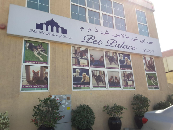 Pet Palace