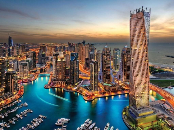 Talal Aljneibi Real Estate Brokers