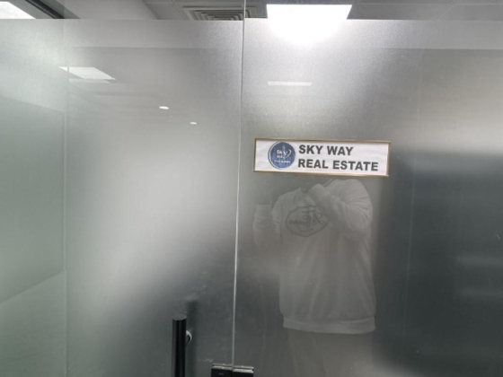 Skyway Real Estate