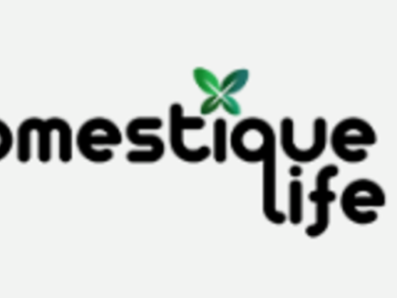 Domestique Life Cleaning Services